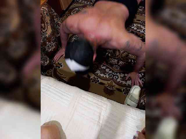 Модель: Cottoncandy1-1