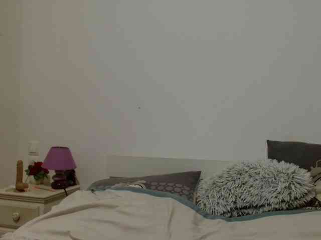 desirmiss webcam