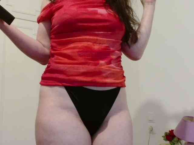desirmiss webcam