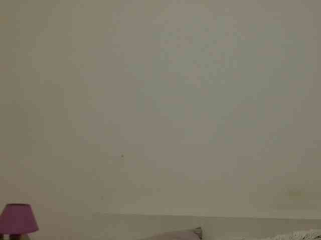 desirmiss webcam