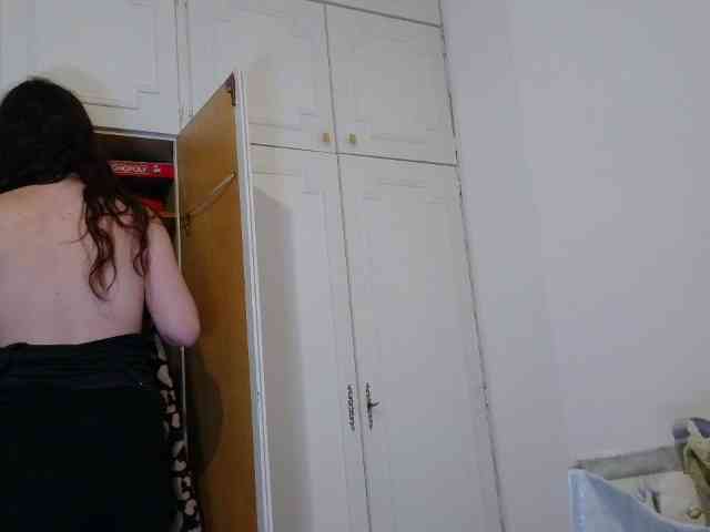 desirmiss webcam