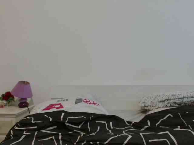 desirmiss webcam