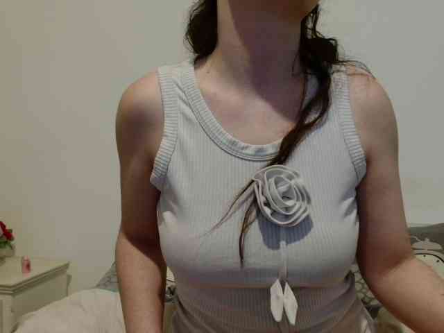 desirmiss webcam
