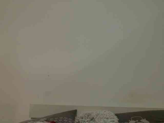 desirmiss webcam