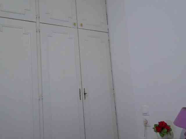 desirmiss webcam