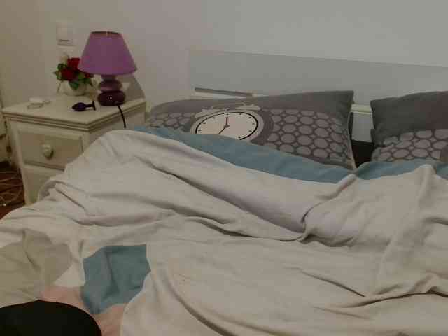 desirmiss webcam