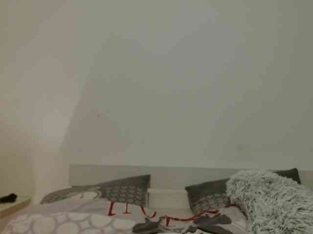 desirmiss webcam