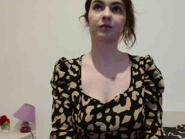 desirmiss webcam