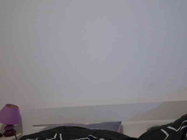 desirmiss webcam