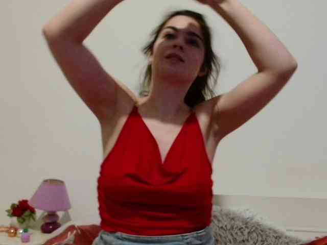 desirmiss webcam