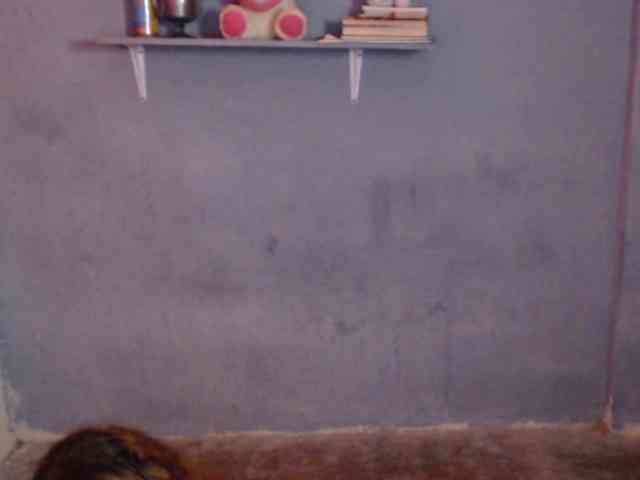 Girlbat_ webcam