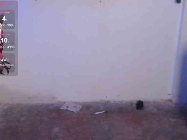 Kurome_latin webcam