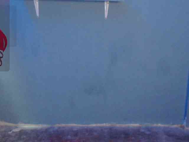 Kurome_latin webcam