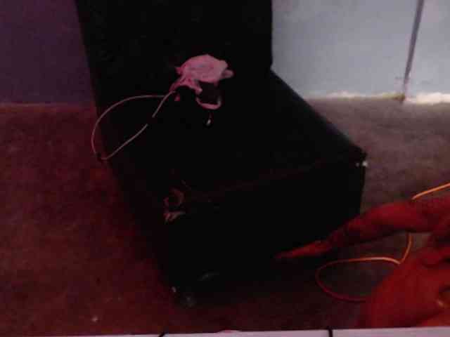 Girlbat_ webcam