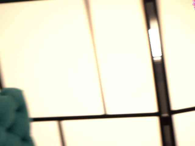 shiny-lily webcam