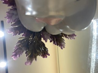 AprilHill Porn Show