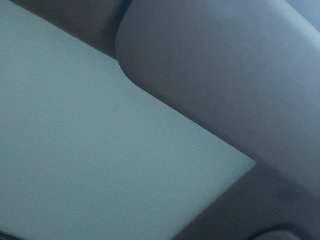 AprilHill Porn Show