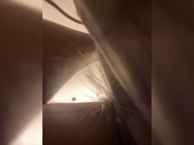 APRILHILL live cam on BongaCams
