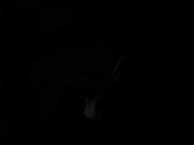 AprilHill live webcam show