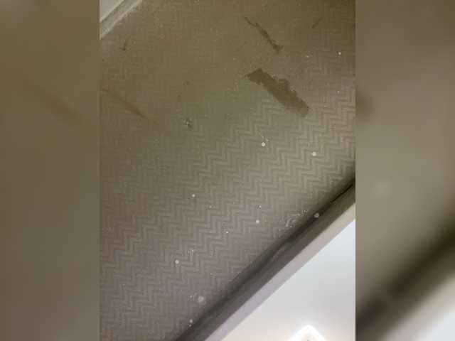 Preview of aprilhill