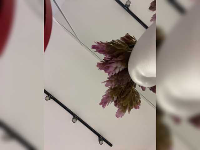 APRILHILL live cam on BongaCams