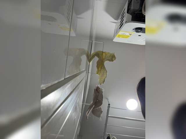 AprilHill live cam preview