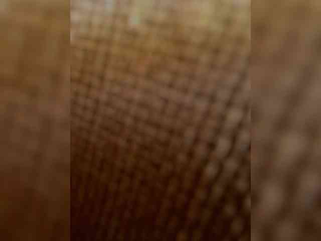 AprilHill webcam