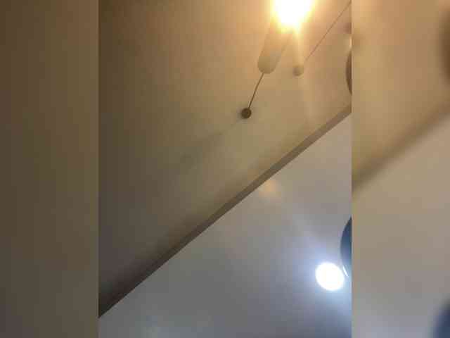 AprilHill webcam