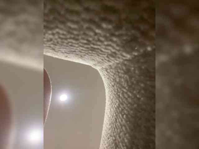 AprilHill webcam
