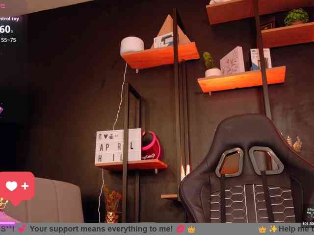 AprilHill webcam