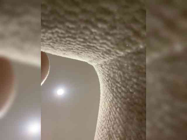AprilHill webcam