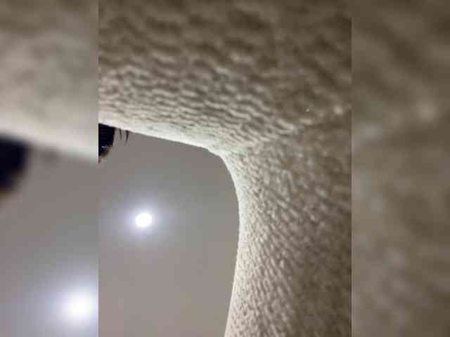 AprilHill webcam