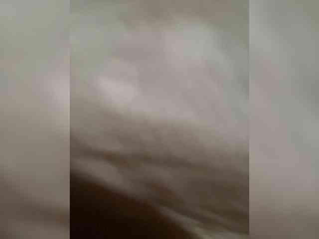 AprilHill webcam