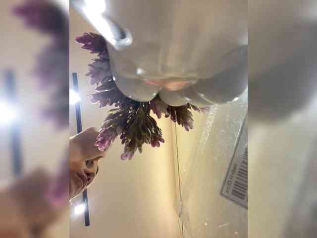 AprilHill webcam