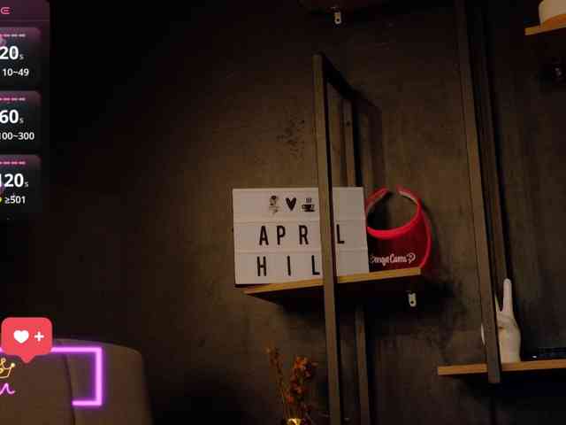 AprilHill webcam