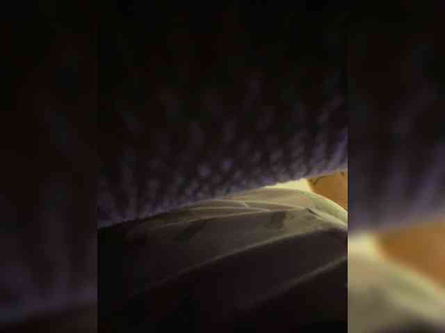 AprilHill webcam