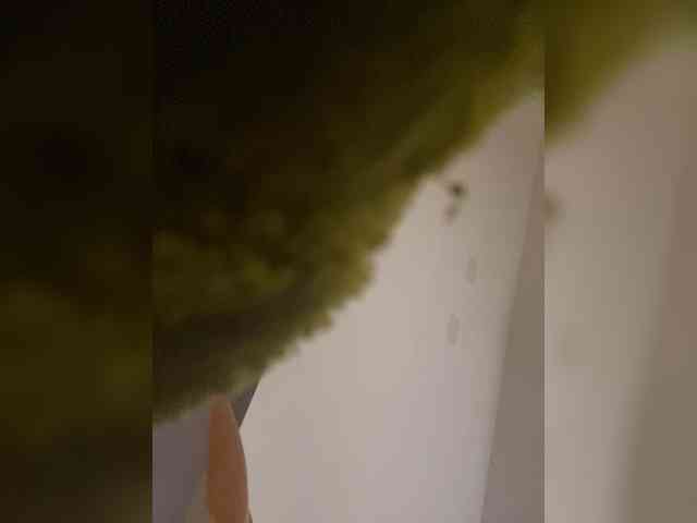 AprilHill webcam