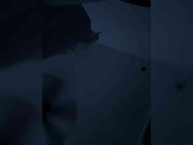 AprilHill webcam