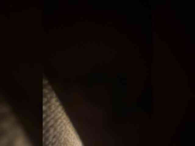 AprilHill webcam