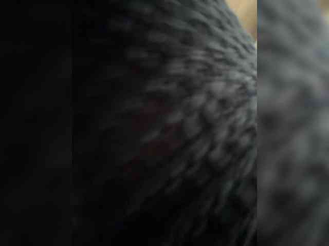 AprilHill webcam