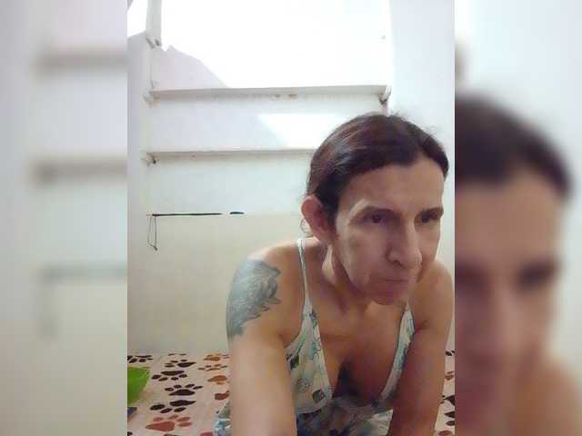 maja26