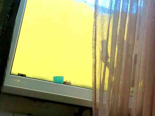 2Laski2 webcam