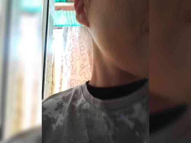 2Laski2 webcam