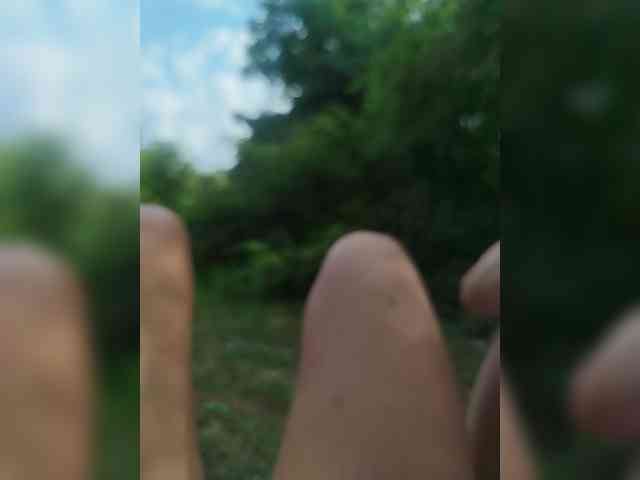 2Laski2