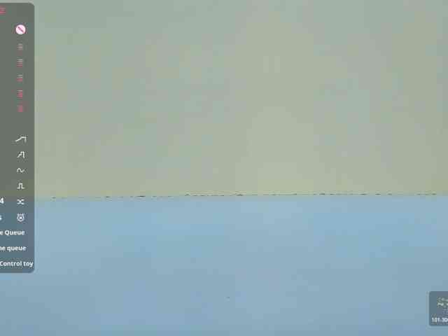 Beellami webcam