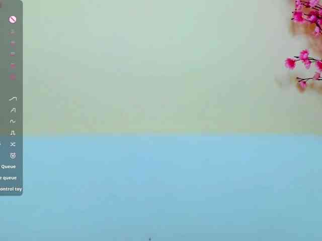 Beellami webcam