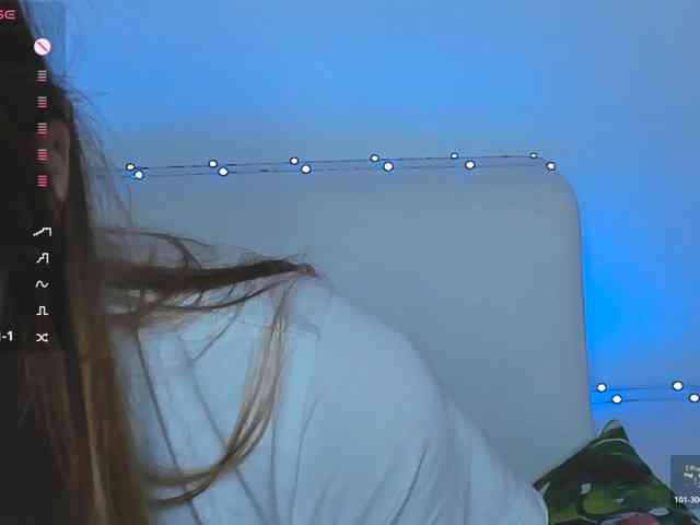 Beellami webcam