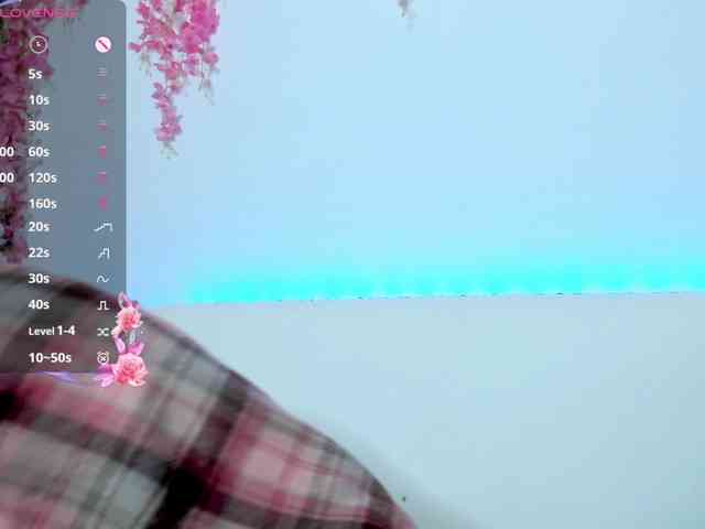 Beellami webcam