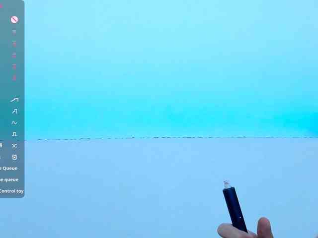 Beellami webcam