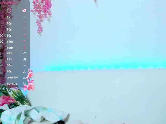 Beellami webcam